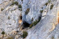 Cueva Honda