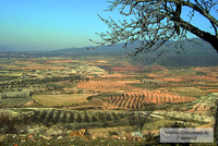 Vista de Orera y sus campos
